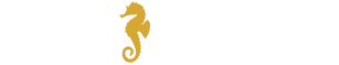 logo-svg-01 Logo Cavall i l'androna